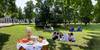 Picknick im Kurpark Picknick im Kurpark