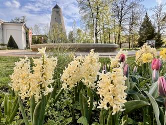 Soleturm im Frühling