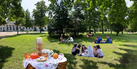 Picknick im Kurpark Picknick im Kurpark