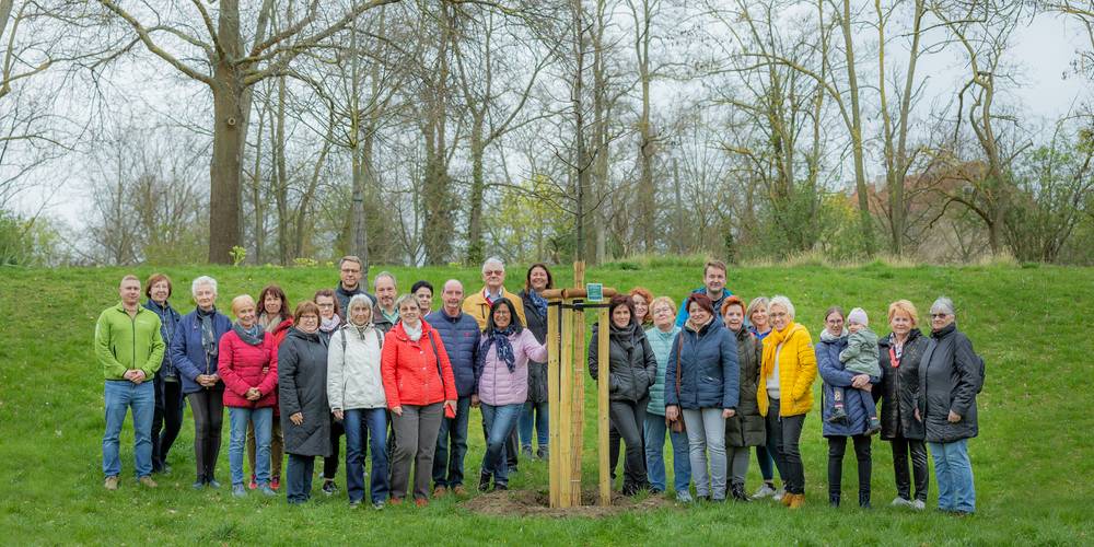 Kurpark Mein Baum Spendenaktion