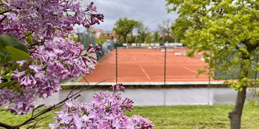 Kurpark Tennisanlage