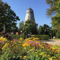 Soleturm im Sommer © SOLEPARK Soleturm im Sommer