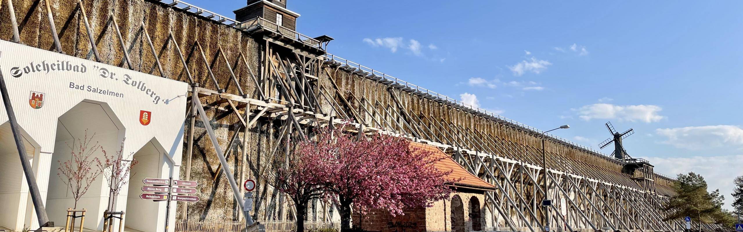 Kirschblüte am Gradierwerk