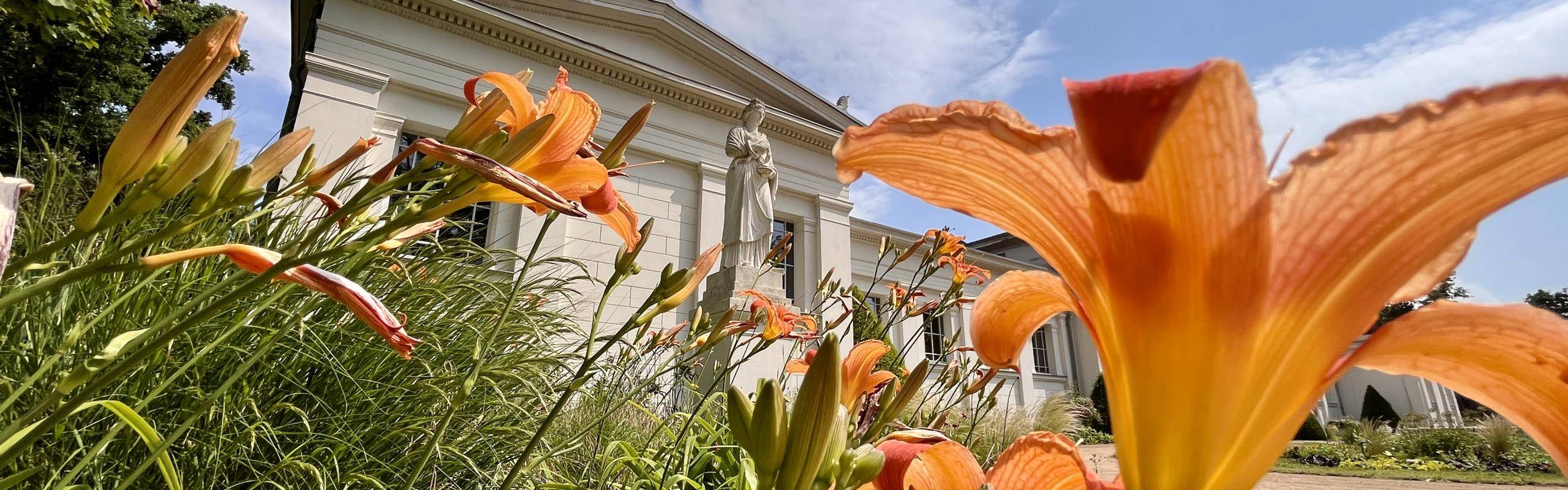 Lilien vor der Statue Heilkunde