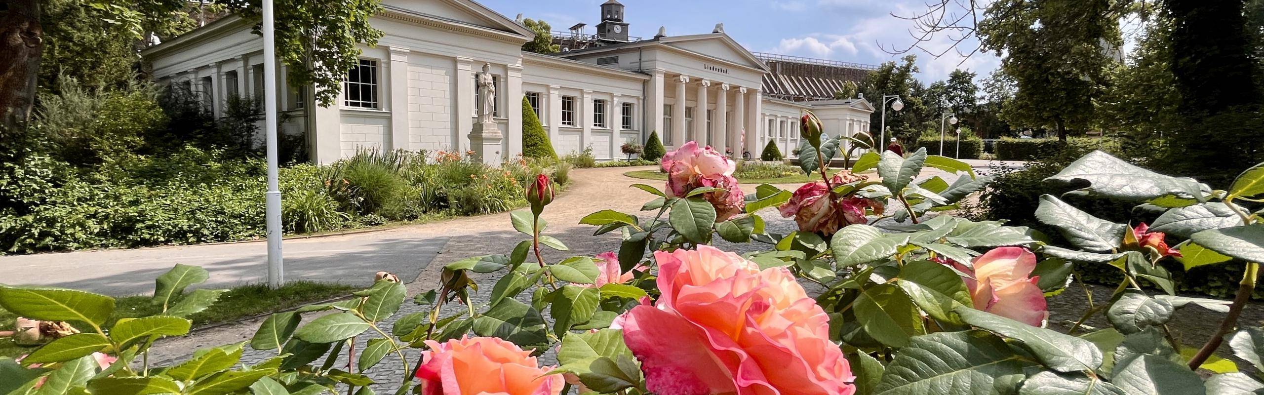 Rosen vor dem Lindenbad