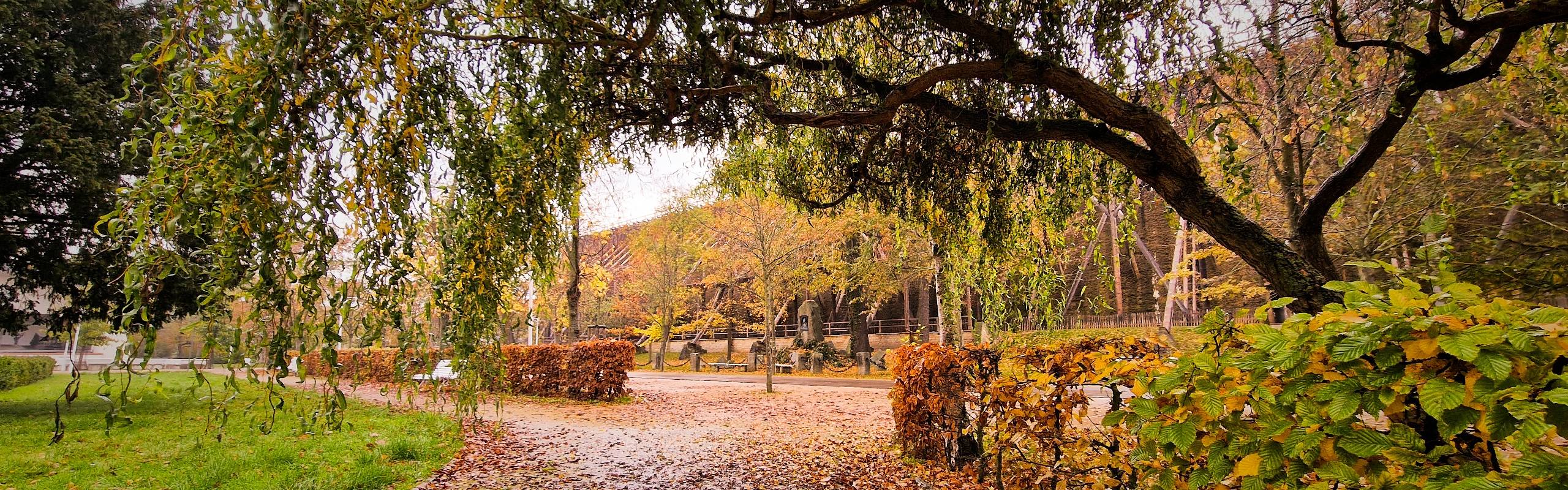 Herbst im Kurpark