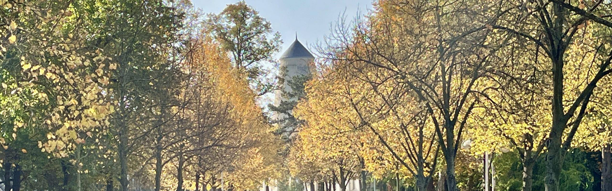 Baumallee im Herbst mit Blick auf Soleturm