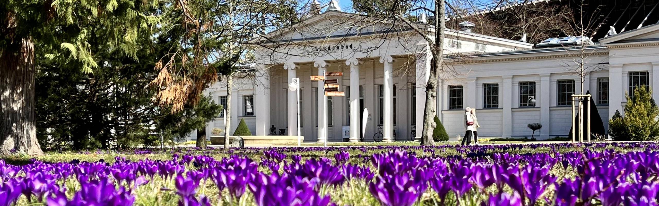 Krokuswiese vor dem Lindenbad