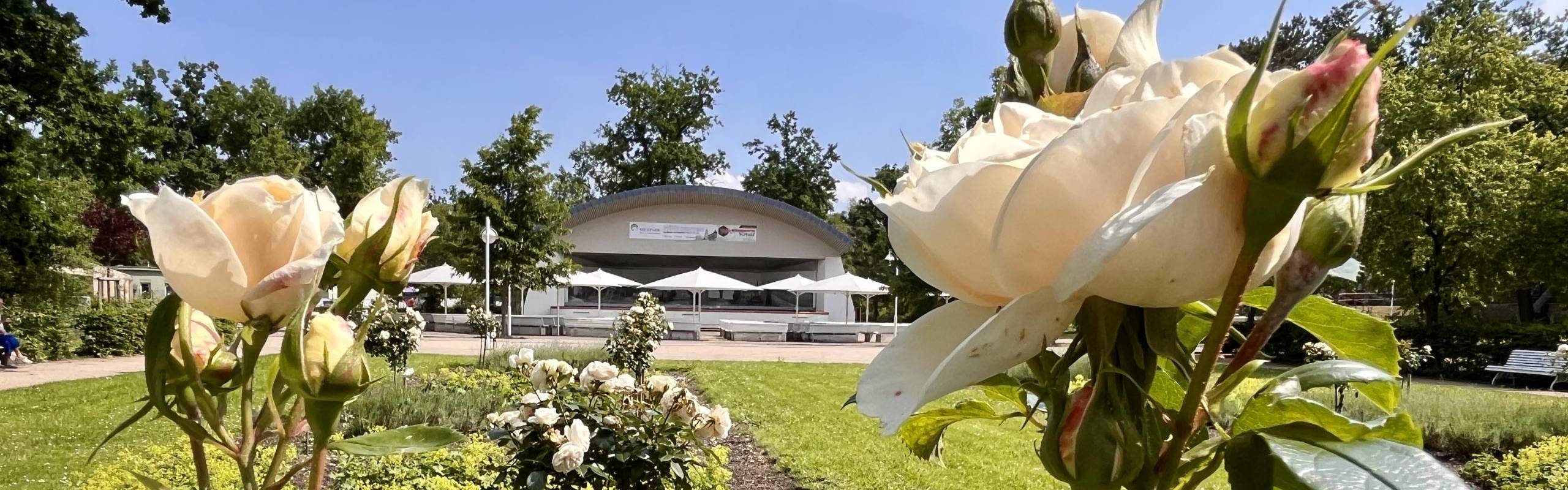 Rosen vor der Kurparkbühne