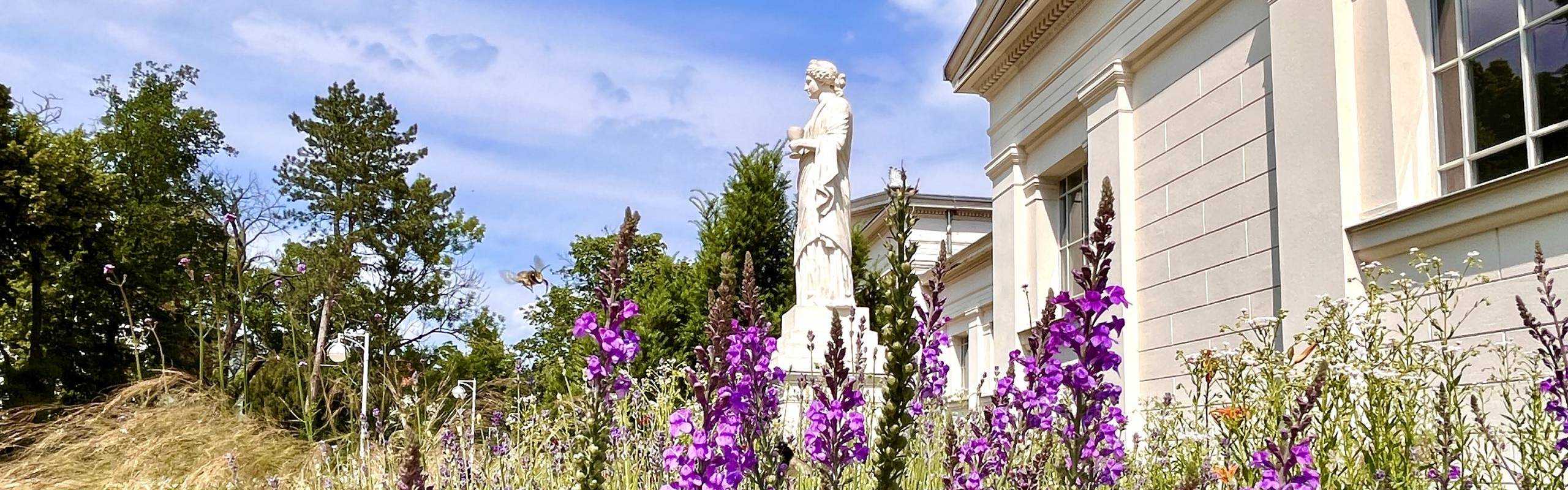 Lavendel vor der Statue Gesundheit