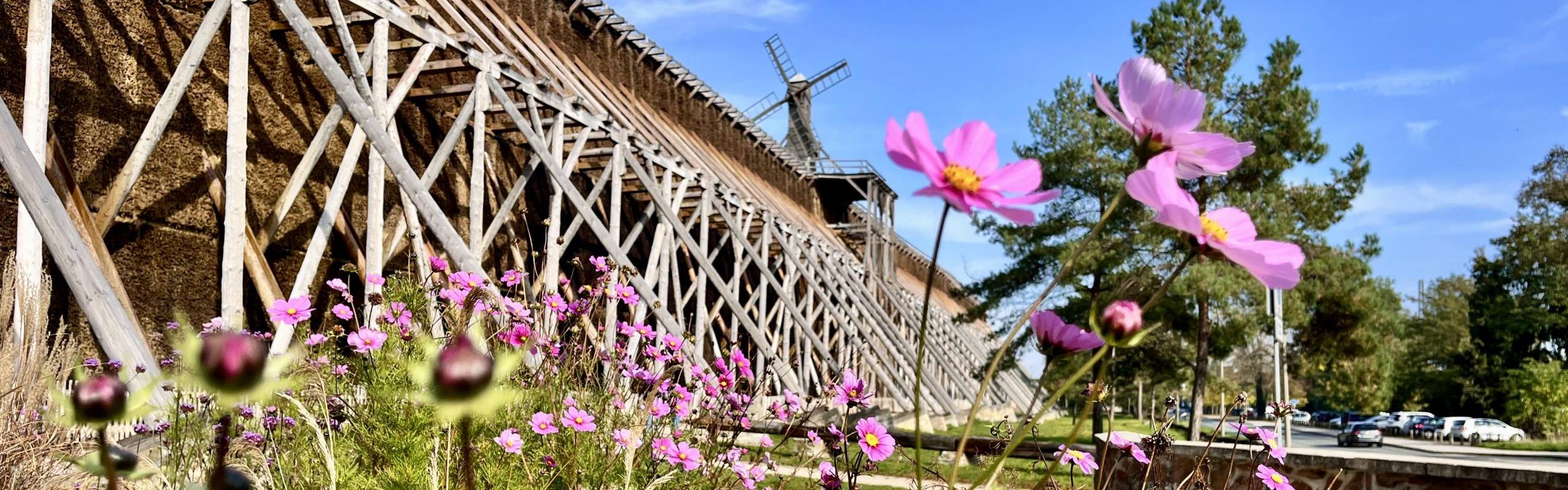 Blumenrondell am Gradierwerk