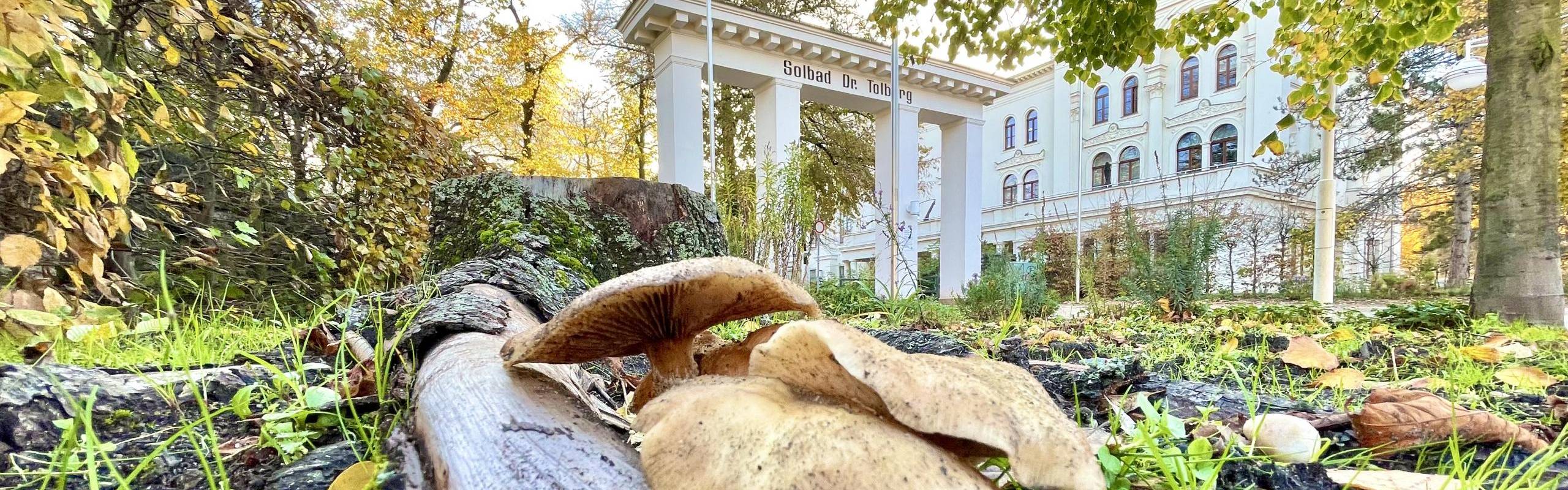 Das Eingangsportal im Herbst