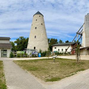 Kunsthof-Gebäude im Sommer