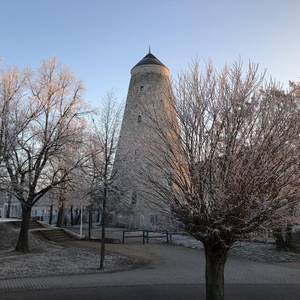 Soleturm hinter winterlichen Bäumen
