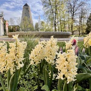 Soleturm im Frühling