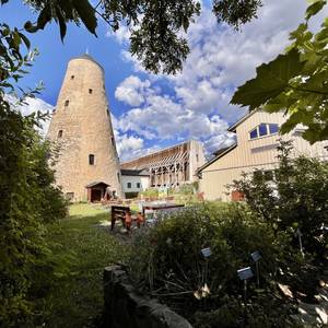 Kunsthof im Sommer