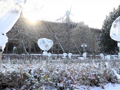 Der Kurpark präsentierte sich zum Pressetermin winterlich.