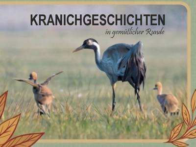 Kranichgeschichten in gemütlicher Runde