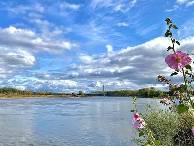 sg Elbe1