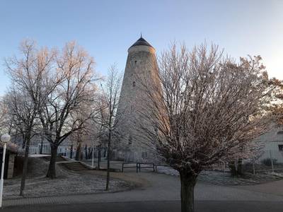 Soleturm hinter winterlichen Bäumen © SOLEPARK Soleturm hinter winterlichen Bäumen