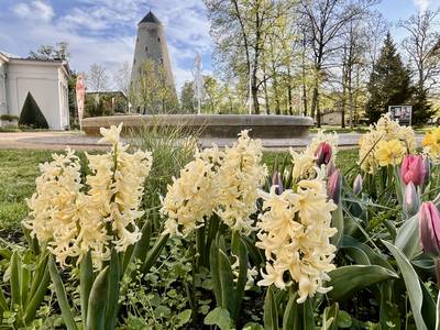 Soleturm im Frühling
