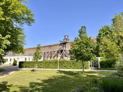 Kurpark im Frühling