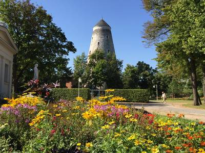 Soleturm im Sommer