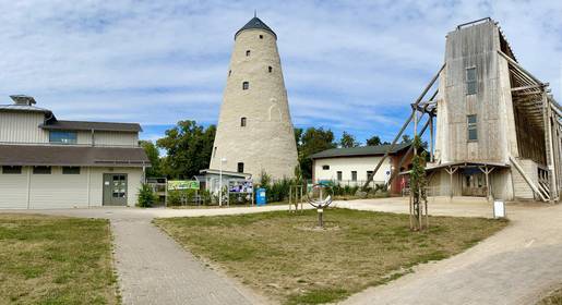 Kunsthof-Gebäude im Sommer