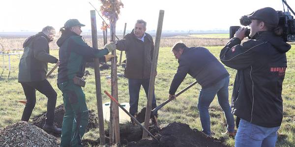 Arbeitseinsatz am Ringheiligtum. © Stadt Schönebeck (Elbe) Arbeitseinsatz am Ringheiligtum.