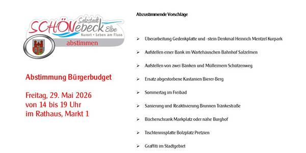 Abstimmung Bürgerbudget