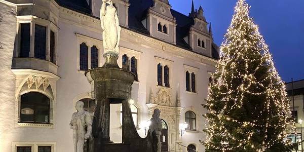 Beleuchteter Weihnachtsbaum vor Rathaus mit Brunnen