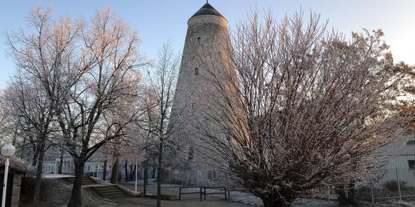 Soleturm hinter winterlichen Bäumen © SOLEPARK Soleturm hinter winterlichen Bäumen