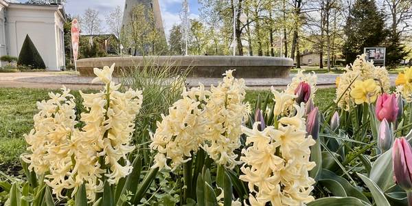 Soleturm im Frühling