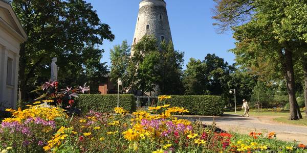 Soleturm im Sommer
