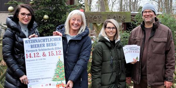 Julia Teige (v.l.), Geschäftsführerin Stadtwerke Schönebeck GmbH, präsentiert gemeinsam mit Constanze Pohlan und Karin Stagge vom Sachgebiet Kultur und Sport sowie Tierparkleiter Matthias Willberg das Programm zum weihnachtlichen Bierer Berg. © Stadt Schönebeck (Elbe) weihbb1