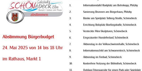 Abstimmung Bürgerbudget © Stadt Schönebeck (Elbe) Abzustimmende Projekte