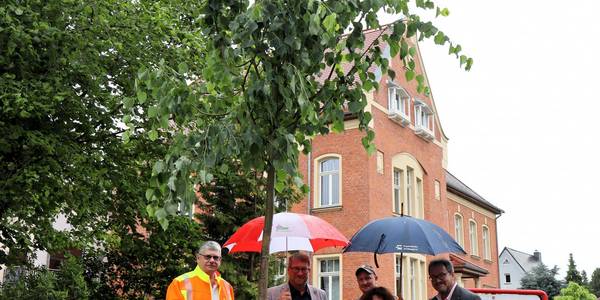 Fünf Menschen sind beim symbolischen Einpflanzen einer Winterlinde aktiv.
