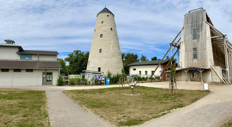 Kunsthof-Gebäude im Sommer