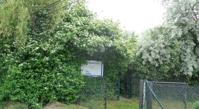 nachtigallenoase edner