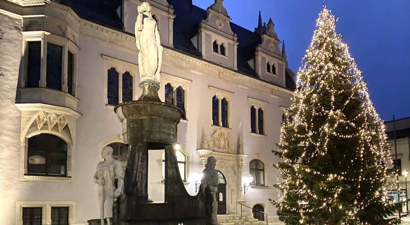 Beleuchteter Weihnachtsbaum vor Rathaus mit Brunnen