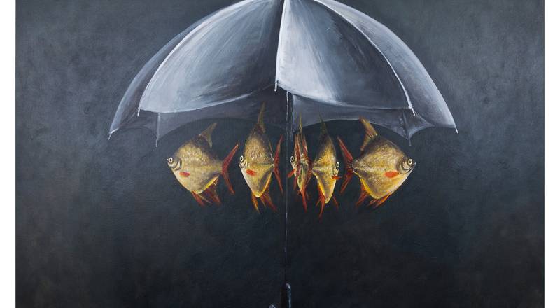 Ein Bild von Frank Meier. Fische an einem Regenschirm.