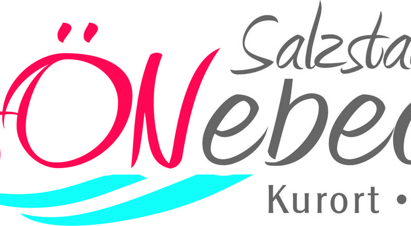 Stadtlogo Stadt Schönebeck (Elbe)