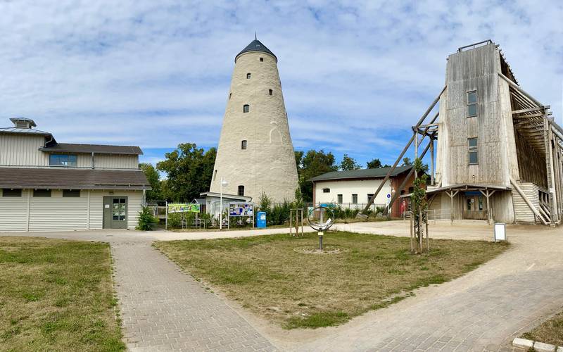 Kunsthof-Gebäude im Sommer
