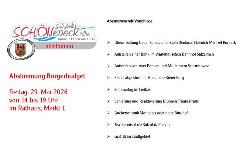 Abstimmung Bürgerbudget