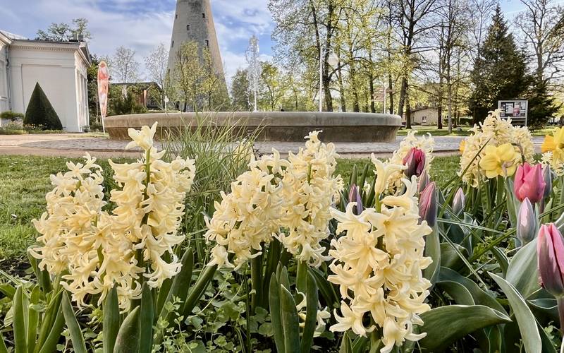Soleturm im Frühling