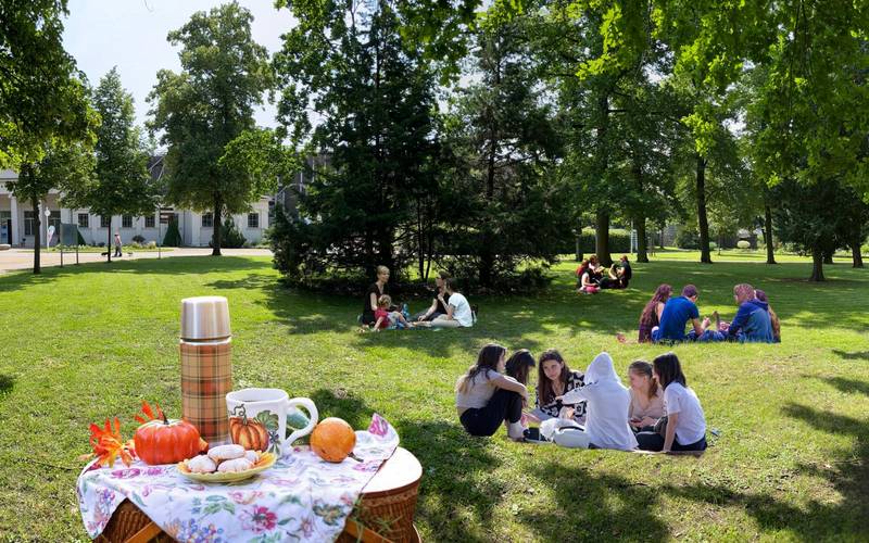 Picknick im Kurpark