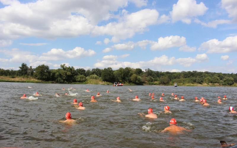 Durchschwimmen der Elbe