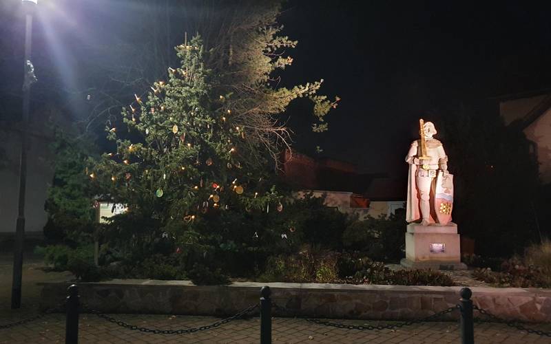 Weihnachtsbaum Roland Plötzky