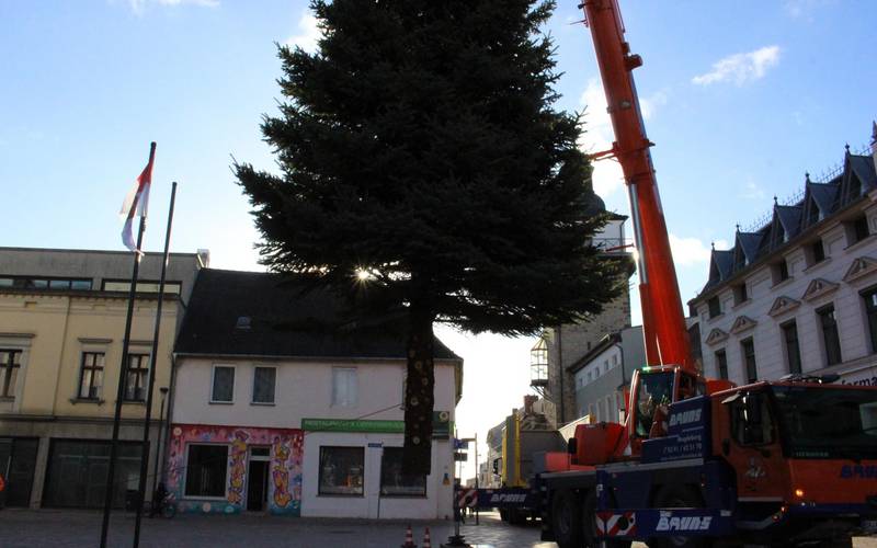 Weihnachtsbaum Altstadt