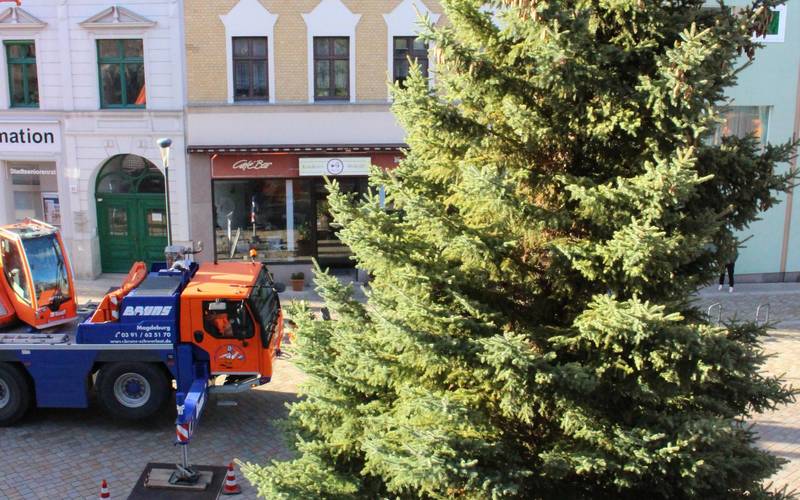 Weihnachtsbaum Altstadt
